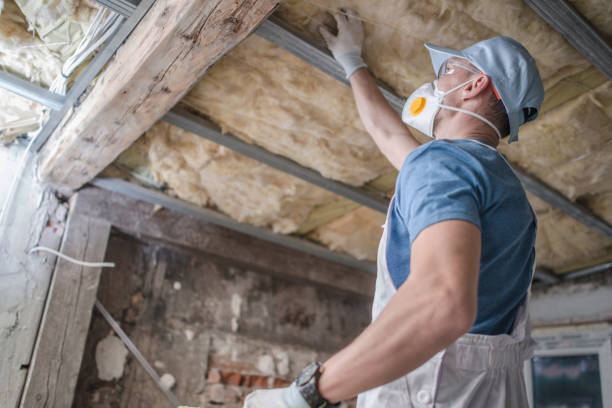 Insulation Contractors for Homes in Ellisville, MS